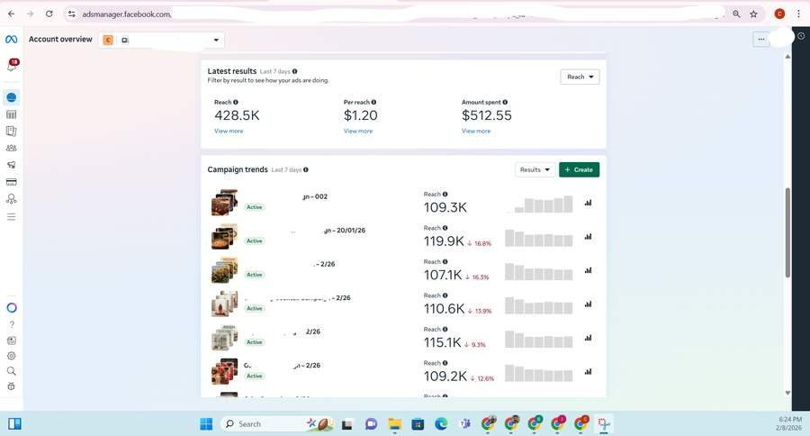 Meta Ads Screenshot 1 - Jan to Feb 2026