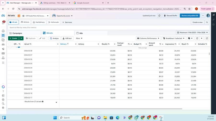 Meta Ads Daily Stats and Performance Screenshot