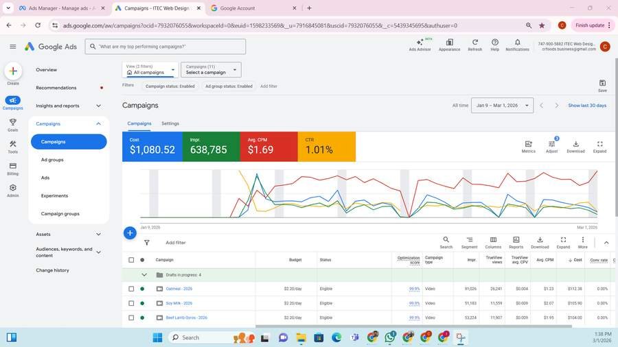 Google Ads Screenshot - Geo Targeting Campaigns