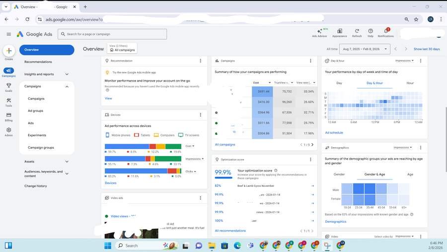 Google Ads Screenshot - YouTube Video Promotion