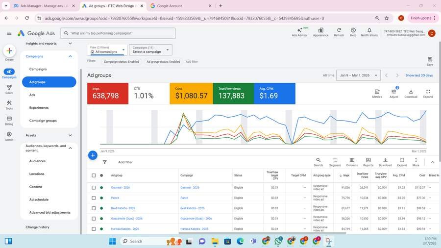 Google YouTube Ads Screenshot - Geo Targeting Campaigns for Food Brand