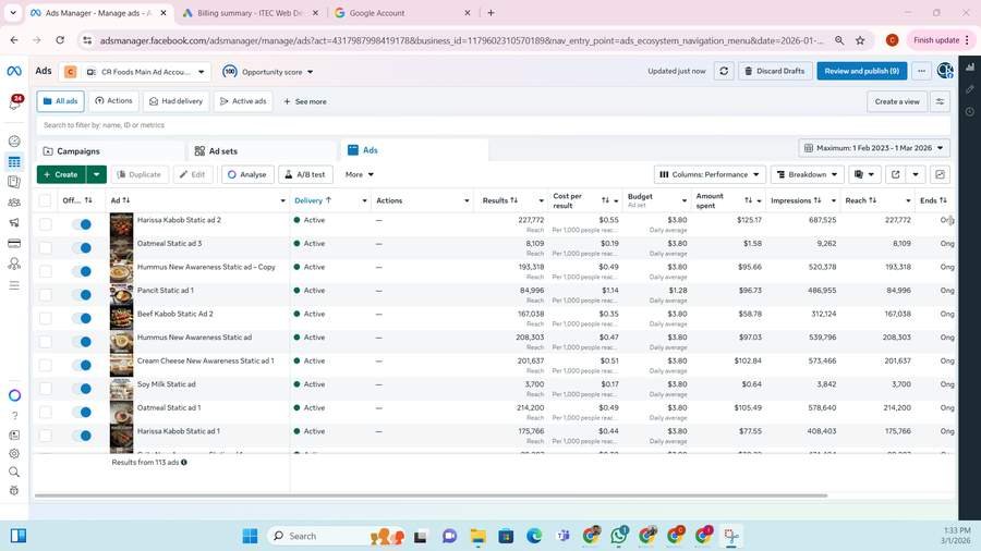 Meta Ads Performance Screenshot (Multiple Creatives Per Campaign)